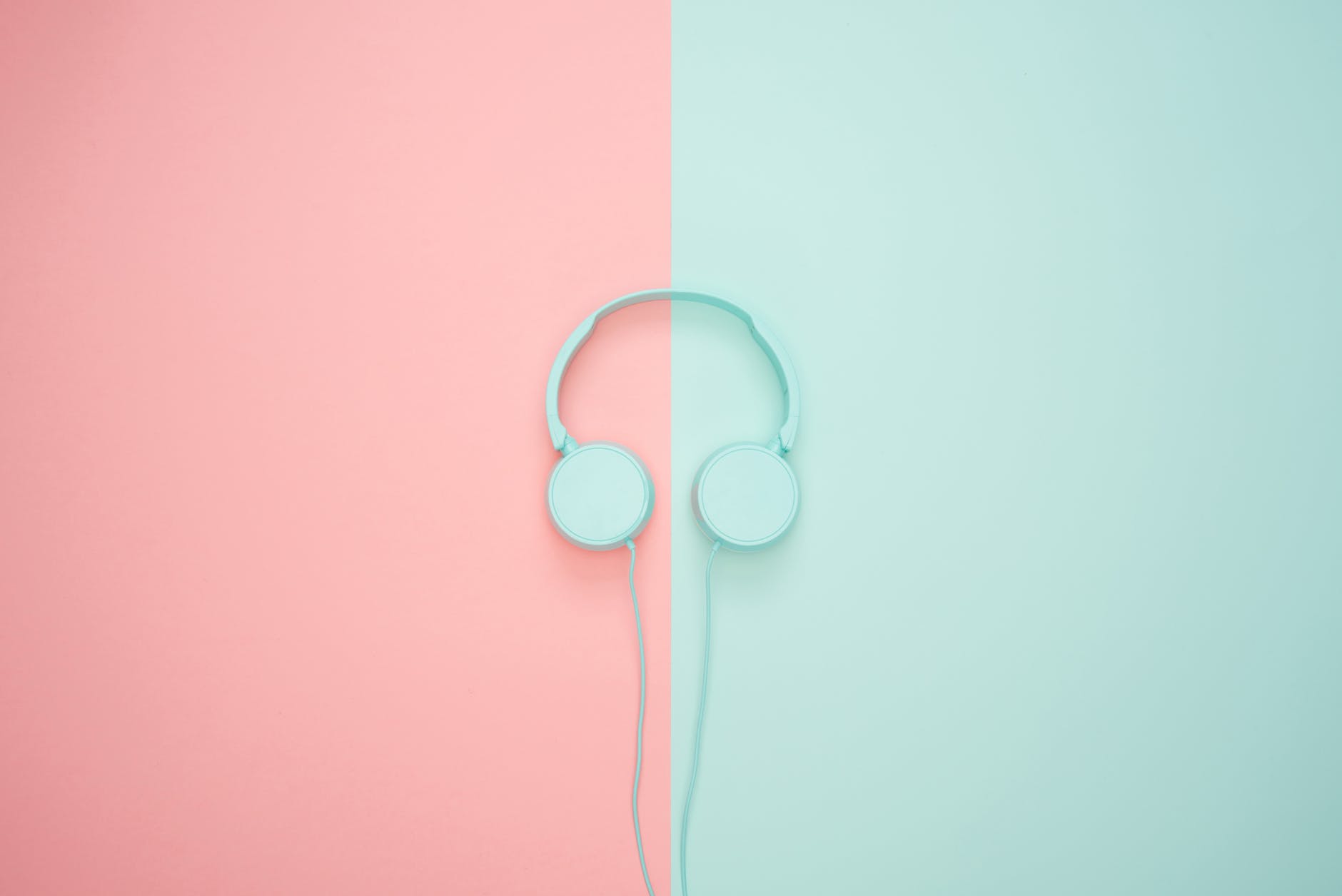 white headphone